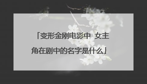 变形金刚电影中 女主角在剧中的名字是什么