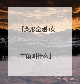 变形金刚3女主角叫什么