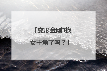 变形金刚3换女主角了吗?