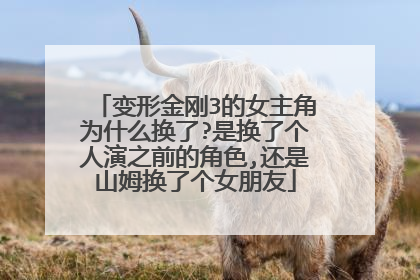 变形金刚3的女主角为什么换了?是换了个人演之前的角色,还是山姆换了个女朋友