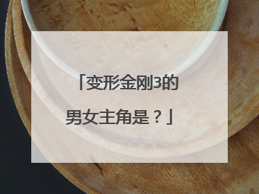 变形金刚3的男女主角是？