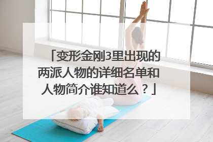 变形金刚3里出现的两派人物的详细名单和人物简介谁知道么？