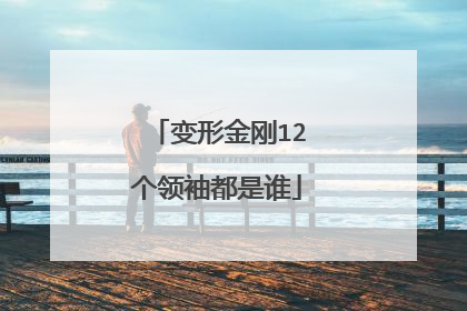 变形金刚12个领袖都是谁