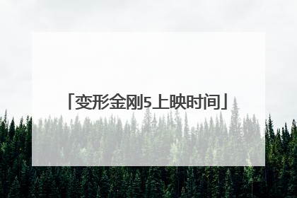 变形金刚5上映时间