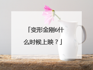 变形金刚6什么时候上映？