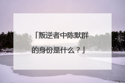 叛逆者中陈默群的身份是什么？