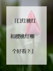 口红桃红和樱桃红哪个好看?