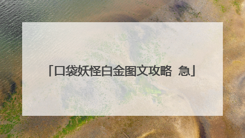 口袋妖怪白金图文攻略 急