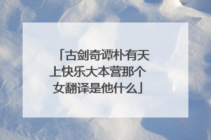 古剑奇谭朴有天上快乐大本营那个女翻译是他什么