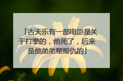 古天乐有一部电影是关于打拳的，他死了，后来是他弟弟帮报仇的