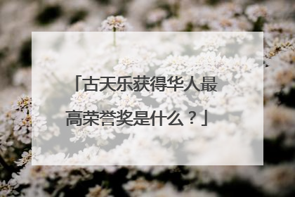古天乐获得华人最高荣誉奖是什么?