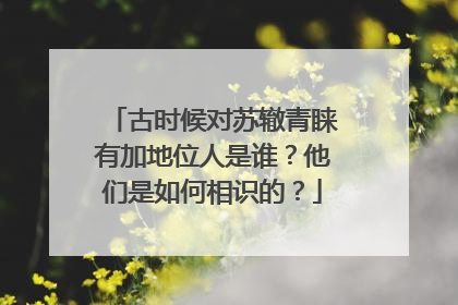 古时候对苏辙青睐有加地位人是谁?他们是如何相识的?