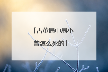 古董局中局小曾怎么死的
