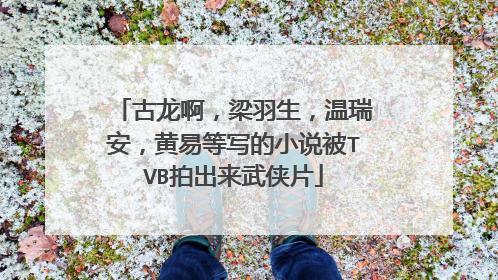 古龙啊，梁羽生，温瑞安，黄易等写的小说被TVB拍出来武侠片