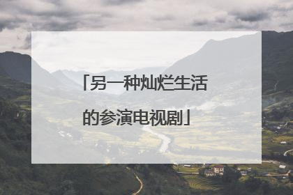 另一种灿烂生活的参演电视剧