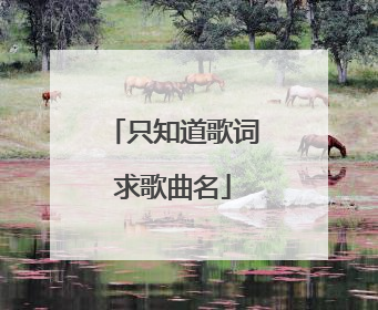 只知道歌词求歌曲名