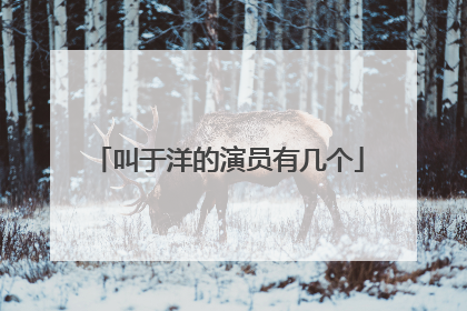 叫于洋的演员有几个