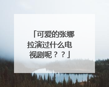 可爱的张娜拉演过什么电视剧呢？？