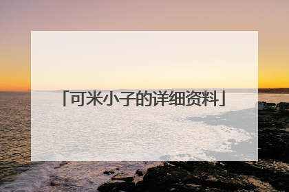 可米小子的详细资料