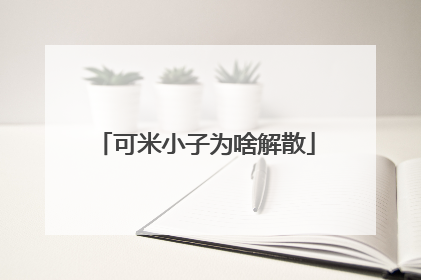 可米小子为啥解散