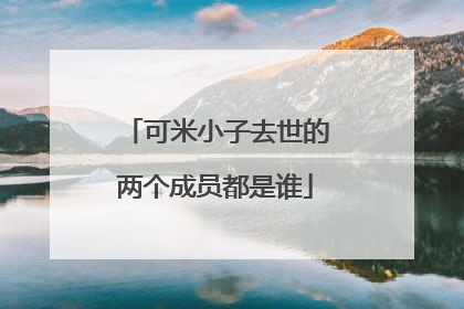 可米小子去世的两个成员都是谁