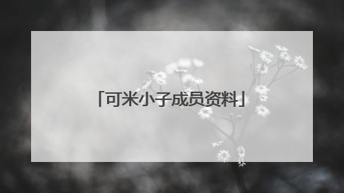 可米小子成员资料