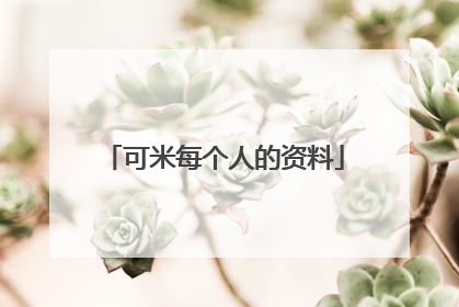 可米每个人的资料