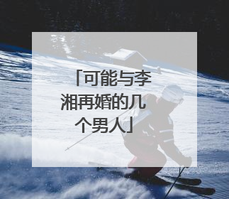 可能与李湘再婚的几个男人