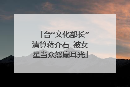 台“文化部长”清算蒋介石 被女星当众怒扇耳光