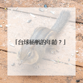 台球杨帆的年龄?