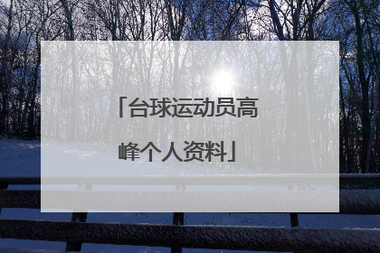 台球运动员高峰个人资料