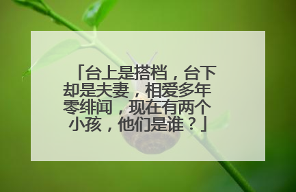台上是搭档，台下却是夫妻，相爱多年零绯闻，现在有两个小孩，他们是谁？
