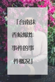 台南抹香鲸爆炸事件的事件概况