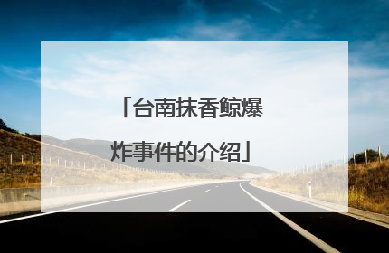 台南抹香鲸爆炸事件的介绍