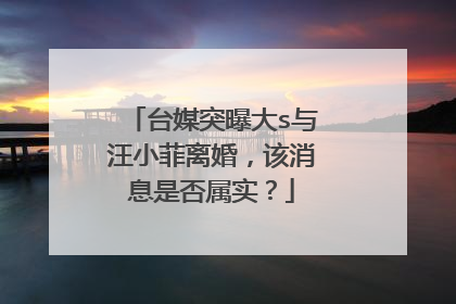 台媒突曝大s与汪小菲离婚,该消息是否属实?