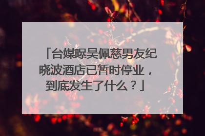 台媒曝吴佩慈男友纪晓波酒店已暂时停业,到底发生了什么?