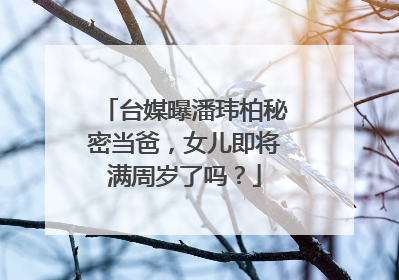 台媒曝潘玮柏秘密当爸,女儿即将满周岁了吗?