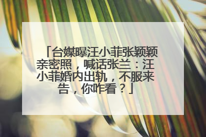 台媒曝汪小菲张颖颖亲密照,喊话张兰:汪小菲婚内出轨,不服来告,你咋看?