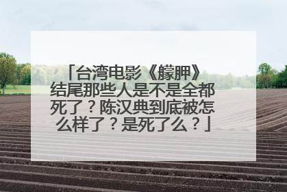 台湾电影《艨胛》 结尾那些人是不是全都死了？陈汉典到底被怎么样了？是死了么？