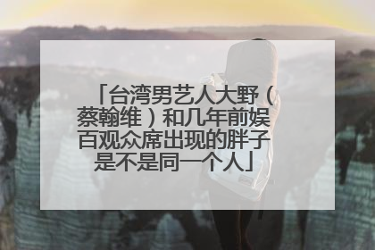 台湾男艺人大野（蔡翰维）和几年前娱百观众席出现的胖子是不是同一个人