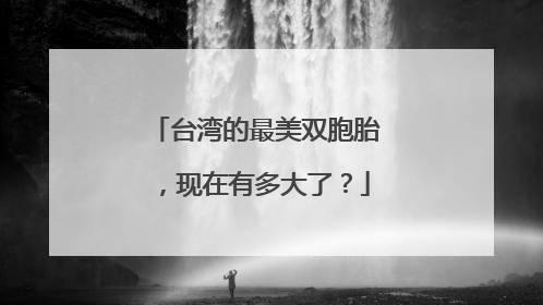 台湾的最美双胞胎，现在有多大了？