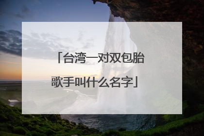 台湾一对双包胎歌手叫什么名字
