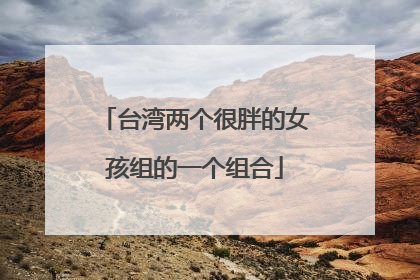 台湾两个很胖的女孩组的一个组合