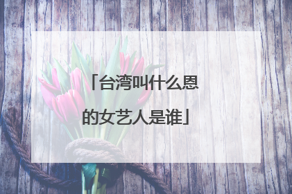 台湾叫什么恩的女艺人是谁