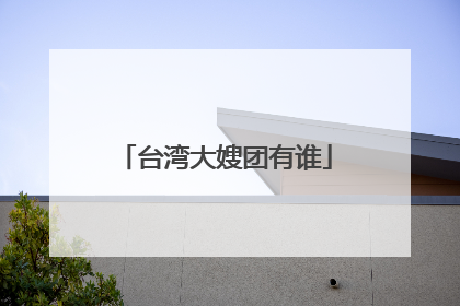 台湾大嫂团有谁
