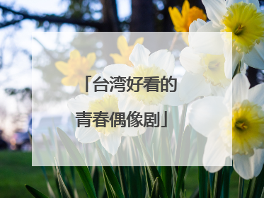 台湾好看的青春偶像剧