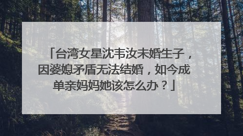 台湾女星沈韦汝未婚生子，因婆媳矛盾无法结婚，如今成单亲妈妈她该怎么办？