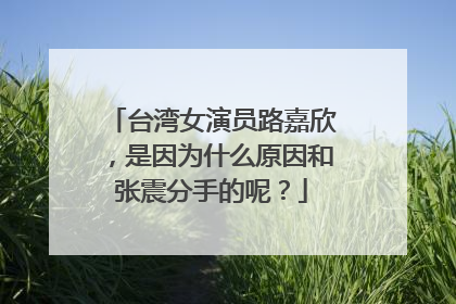 台湾女演员路嘉欣，是因为什么原因和张震分手的呢？