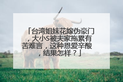 台湾姐妹花嫁伪豪门,大小S被夫家拖累有苦难言,这种恩爱辛酸,结果怎样?