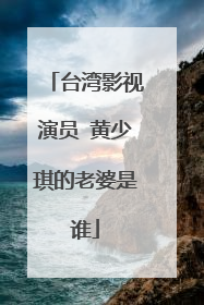 台湾影视演员 黄少琪的老婆是谁